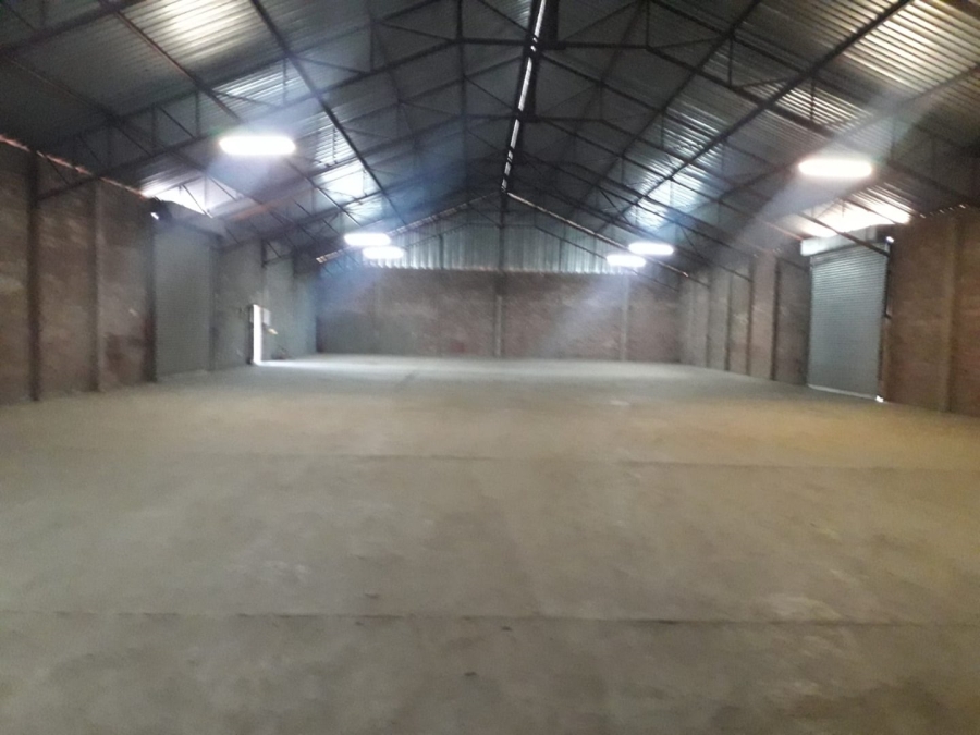 To Let commercial Property for Rent in Kestell Rural Free State